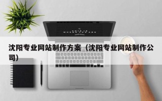 杭州沈阳专业网站制作方案（沈阳专业网站制作公司）
